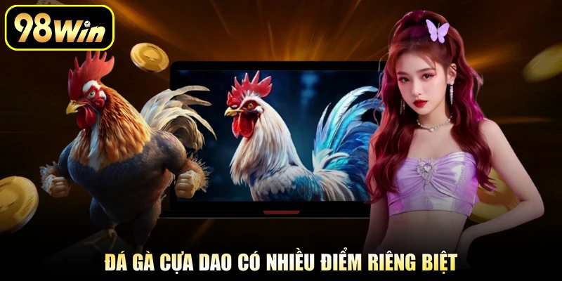 Đá gà cựa dao có nhiều điểm riêng biệt